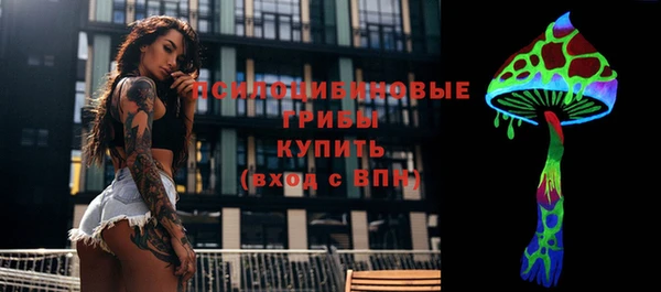 молекула духа Алзамай