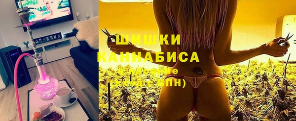шишки Алексин