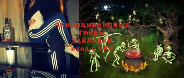 шишки Алексин